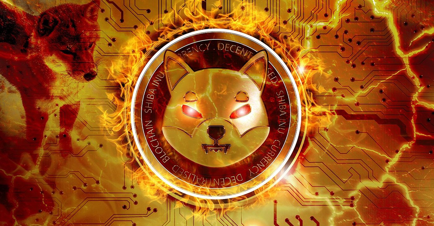 Is Shiba Inu token a good investment ? (2022)